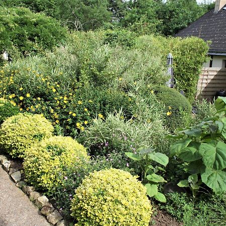 Paulanosa Gite Asnieres-sur-Vegre Ngoại thất bức ảnh